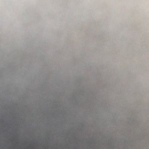 Meet your Posher, Vikki